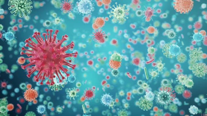 B3a, la cepa del coronavirus que sólo ha entrado en España