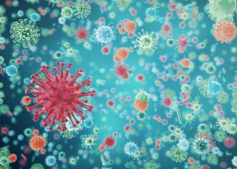 B3a, la cepa del coronavirus que sólo ha entrado en España