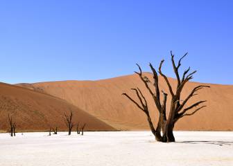 La gran amenaza de la desertización: 16 datos para la reflexión