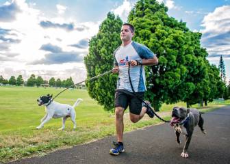 Pautas y consejos para entrenar con nuestro perro en verano