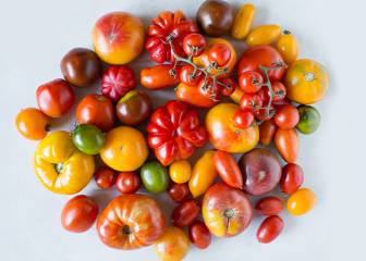 Por qu los tomates no saben a tomate