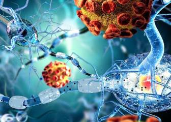 Melatonina y vitamina D serán esenciales para septiembre
