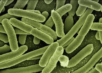 Alimentos probióticos: cómo pueden ayudar frente a la COVID-19 y otras infecciones