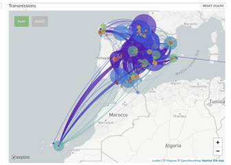 Te contamos cómo se descifra el código del SARS-CoV-2