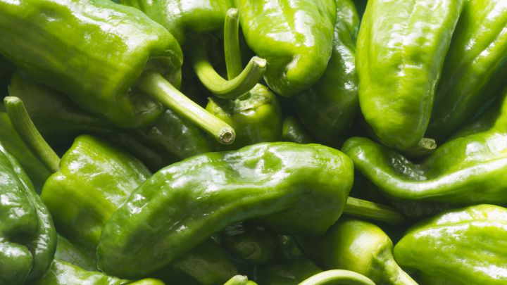 Diez sorpresas del Camino Portugués y cómo reconocer un pimiento de Padrón que pica