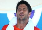 Verdasco says adios Australia while Ferrer retires Hewitt