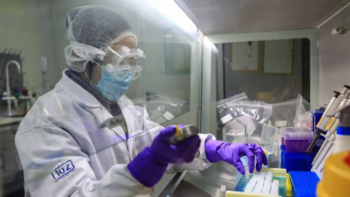 Coronavirus: la vacuna de China tiene éxito con monos - AS.com
