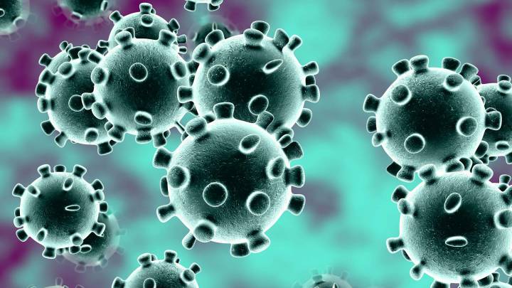 Coronavirus | Bulos y fake news del coronavirus que explica la OMS ...