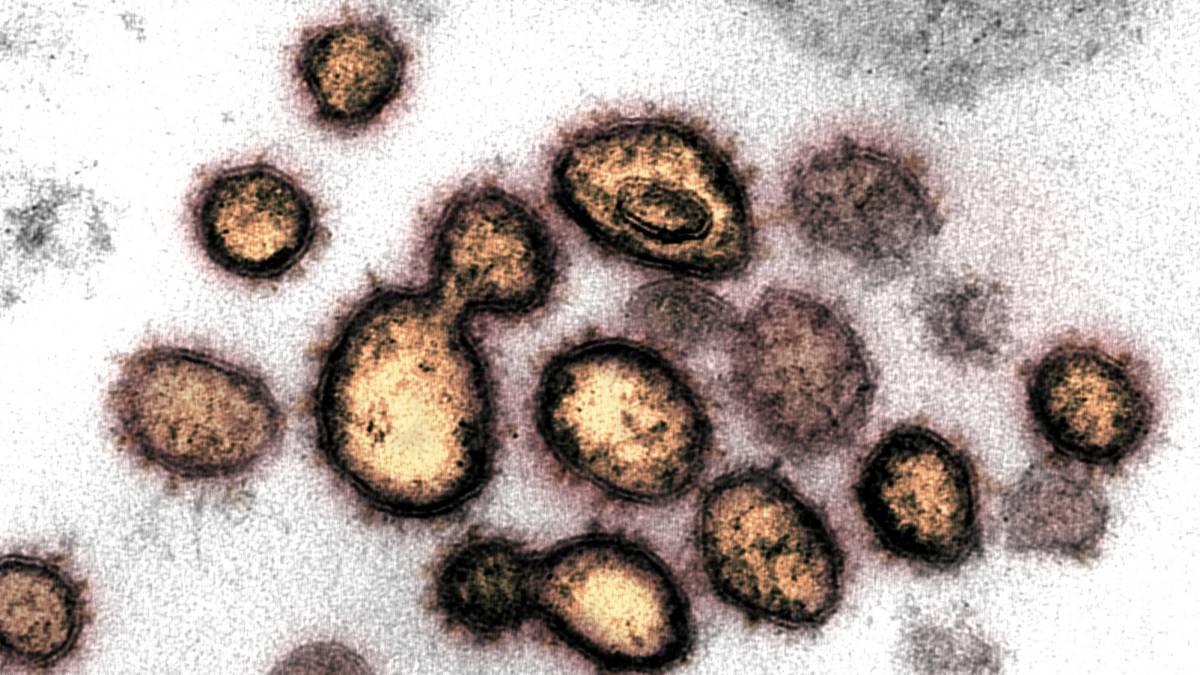 In how long covid body stay Coronavirus: How