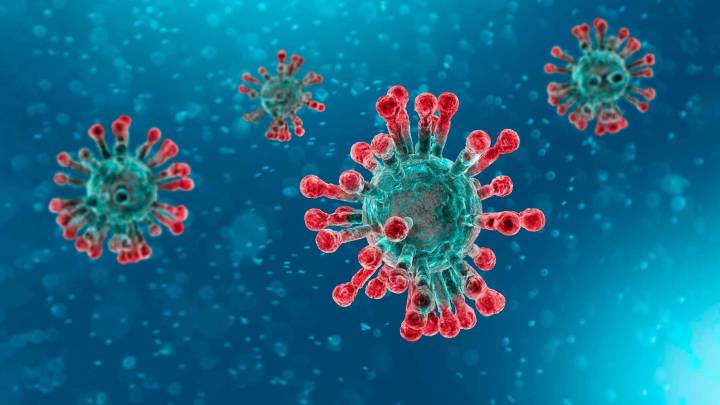 Los siete tipos de coronavirus que infectan a los humanos