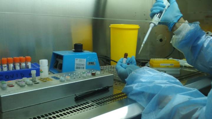 Coronavirus en Amrica: Cuba, Bolivia, Ecuador, Venezuela... en vivo