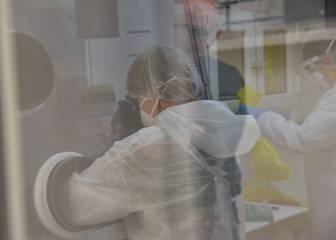 US study suggests Covid-19 mortality rate lower than thought