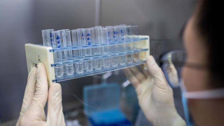 Se buscan voluntarios para infectarse con el coronavirus