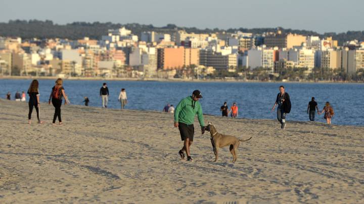 Las playas y piscinas, pendientes de los estudios del coronavirus