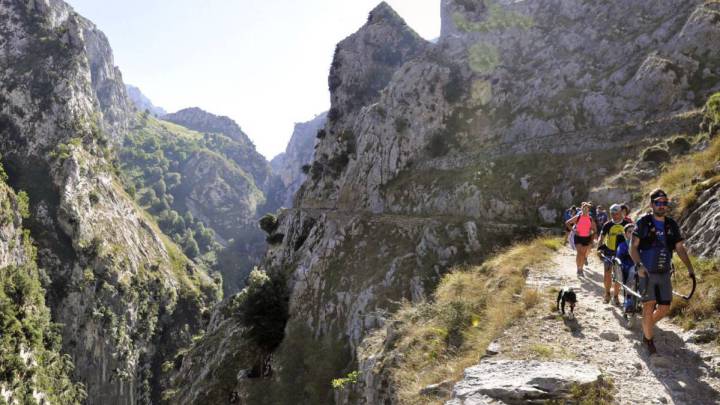 Turismo de naturaleza: cómo se puede hacer en la fase 1