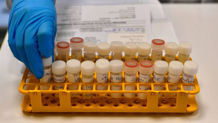 La 'cepa asitica' del coronavirus que tambin entr en Espa?a