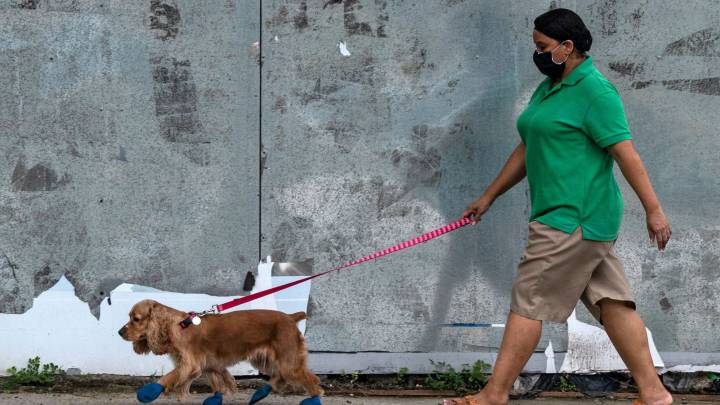 Cuarentena en Panamá y Panamá Oeste: horarios del toque de queda por cédula y sexo