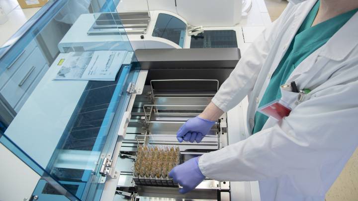 Un estudio revela que la inmunidad frente al coronavirus dura dos meses