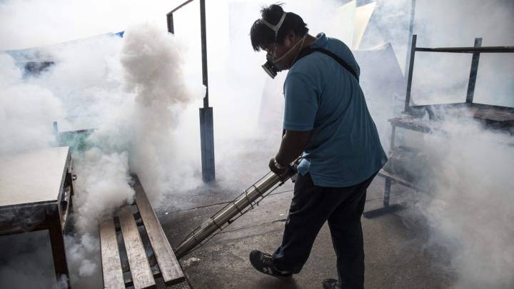 Una nueva cepa del zika podría causar otra epidemia en Brasil