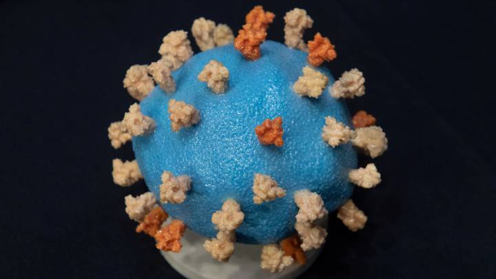 Un estudio confirma que la nueva cepa de coronavirus se propaga más rápido y es menos peligrosa