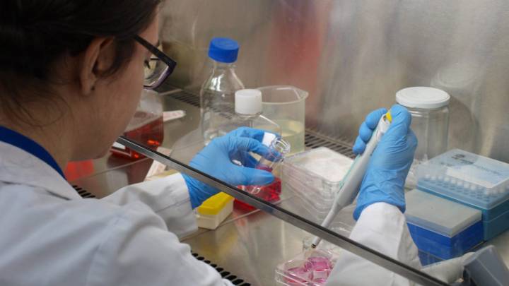 Aviso a la OMS: 239 científicos avanzan que el coronavirus se transmite por el aire