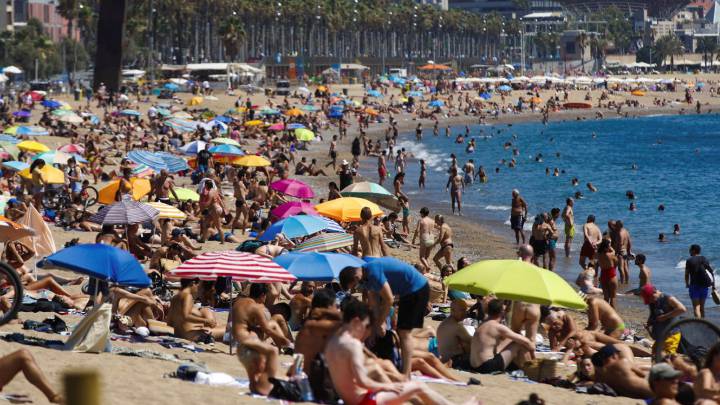 La directora de Protección Civil de Cataluña: "Hay imágenes de playas que asustan"