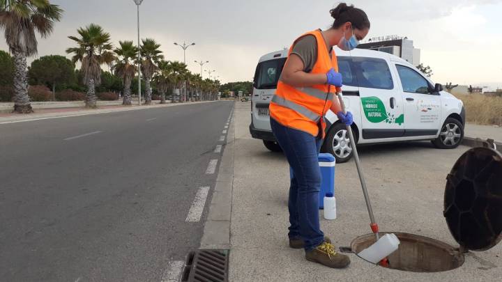 Alerta en Valencia: aumenta la presencia de coronavirus en aguas residuales