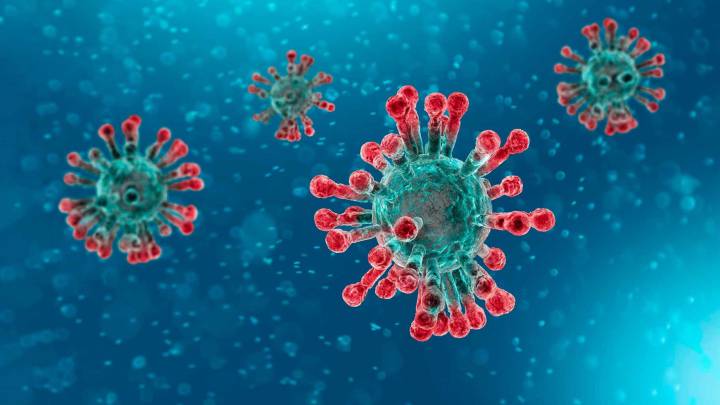 Científicos de Estados Unidos descubren el punto débil del coronavirus