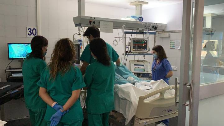 Muertes en España por coronavirus: los datos de la curva epidemiológica, hoy, 19 de agosto