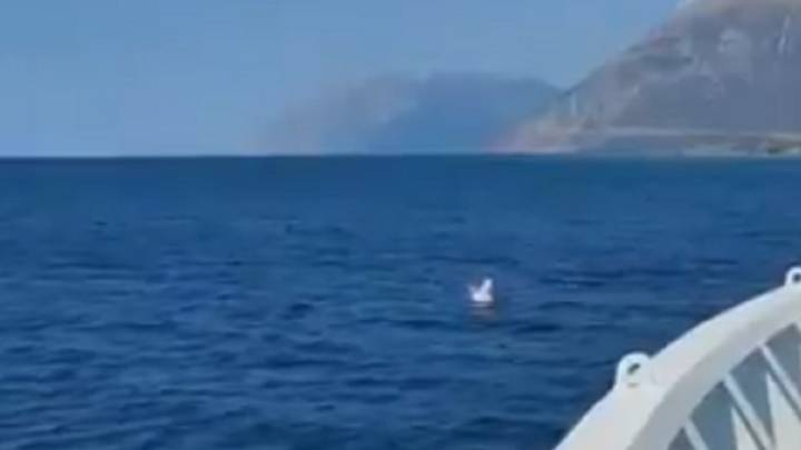 Rescatan en Grecia a un niña que iba en un flotador de unicornio a medio kilómetro de la costa