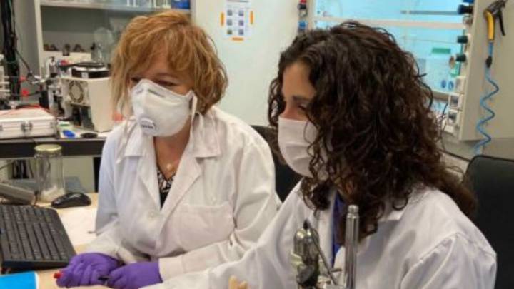El test español que detecta el virus en 30 minutos y diferencia la COVID-19 de la gripe