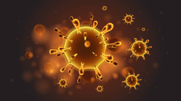Qué sabemos del coronavirus: origen, características, síntomas, tratamiento, vacunas...