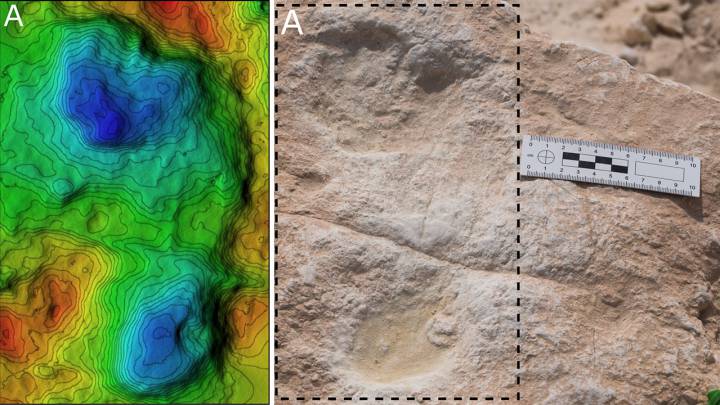 Unas huellas humanas revelan que hubo vida hace 120.000 años en Arabia