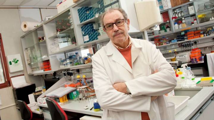 Científicos españoles desmontan las teorías de la viróloga que afirma que el virus es artificial