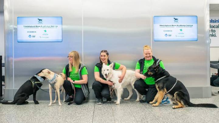 El aeropuerto de Helsinki utiliza perros rastreadores que detectan COVID con "casi 100% de acierto"