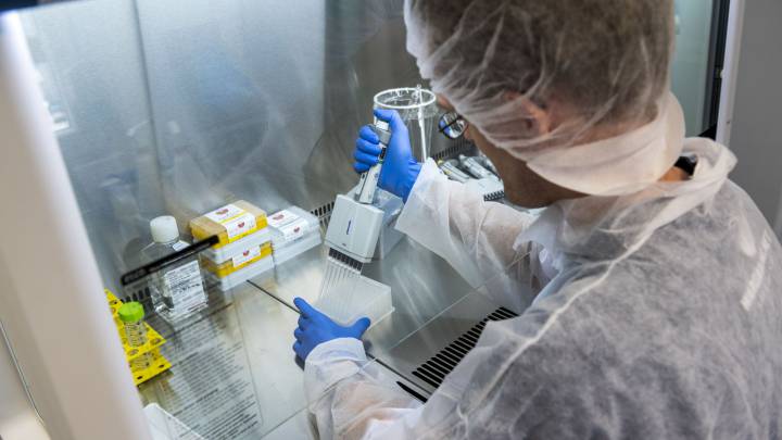 Descubren anticuerpos "poderosos" capaces de eliminar el coronavirus