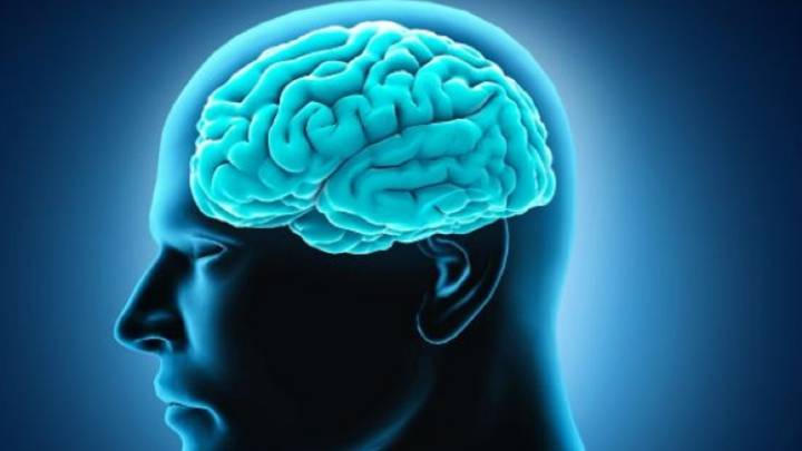 Un neurobiólogo rejuvenece su cerebro 10 años tras superar su adicción a la heroína