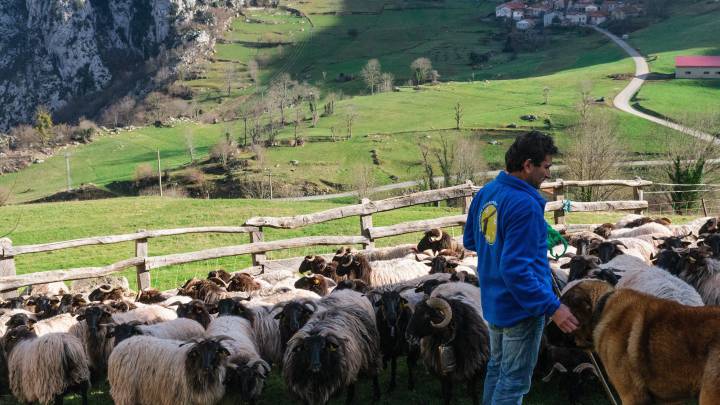 Fase 2 en Asturias: qué se puede hacer, cuándo empiezan las restricciones y cuánto duran