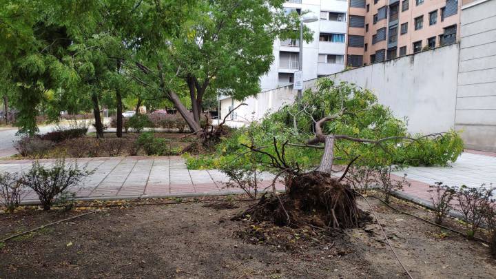 Borrasca España Bárbara Lluvia viento