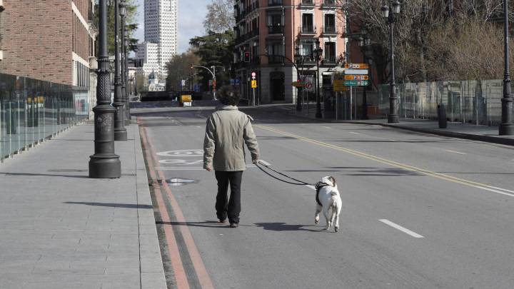 ¿Está permitido pasear al perro durante un toque de queda?