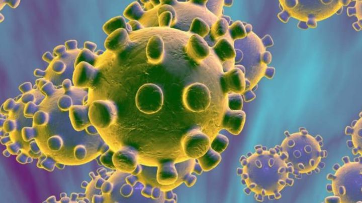 La variante del virus que sacude a Europa surgió en España