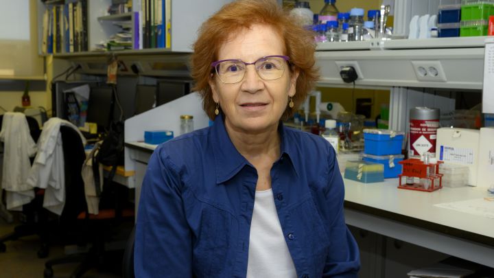 La viróloga Margarita del Val señala los dos lugares "más peligrosos" para la propagación del virus