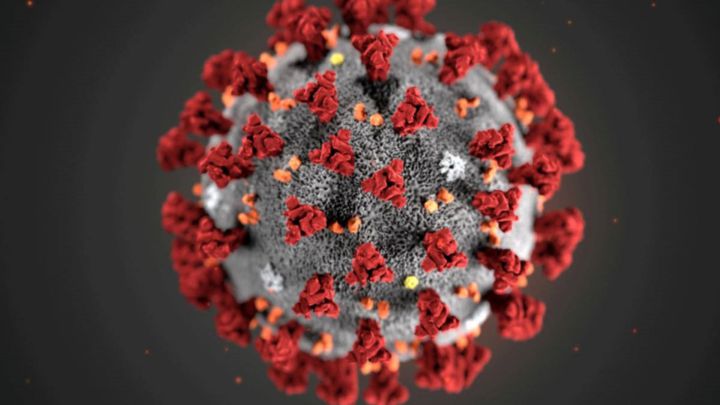 La variante más infecciosa del coronavirus que eliminó a sus rivales