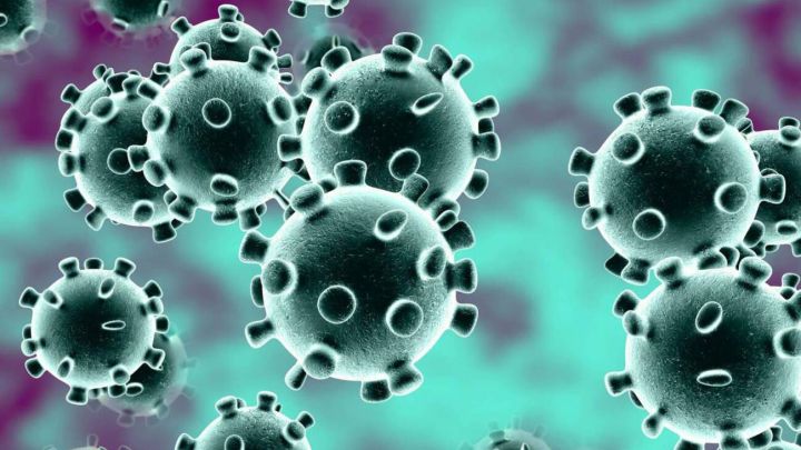 Descubren un misterioso "gen oculto" dentro del coronavirus