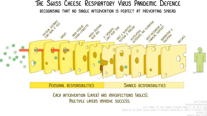 La teoría del queso suizo sobre el coronavirus