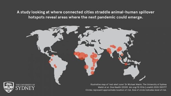 Un estudio identifica los países en los que es más probable que surja la próxima pandemia