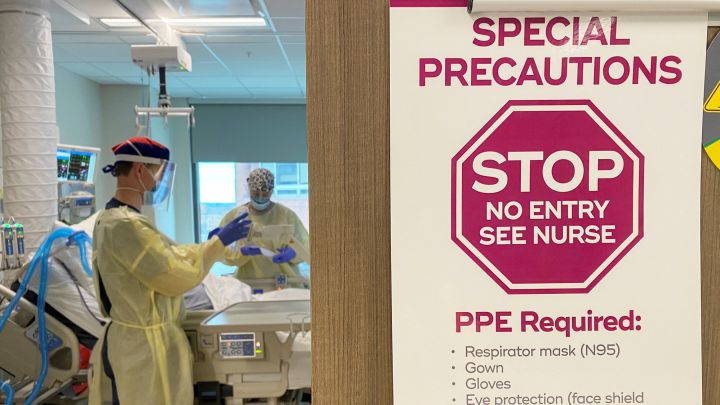 ¿Cuántas cepas y variantes de coronavirus hay y cómo afecta cada una de ellas?