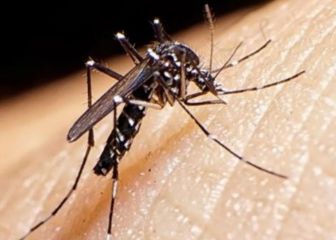 Alerta sanitaria en Paraguay por dengue