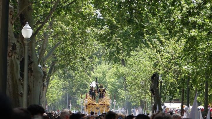 Sevilla vuelve a suspender las procesiones de Semana Santa