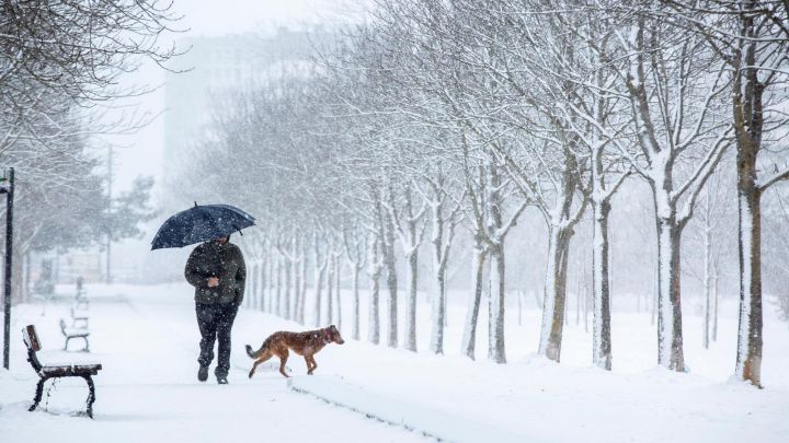 Ola de frío en España: en que provincias nevará esta semana y qué días